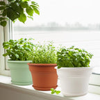 10 Inch Plastic-Flower-Pot-for-Indoor-Plants, 4 Pack Large Outdoor Planter Pot - Image 2