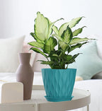4/4.5/5/5.5/6/6.5/7 Inch Plant Pots, 7 Pack Flower Pots - Image 4
