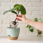 Self Watering Plant Pot with Drainage Hole, Plant Pots Outdoor Flower Pots - Image 6