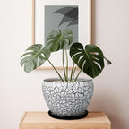 Ceramic Planters for Indoor Plants - Image 4