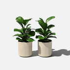 Veradek Demi Series Round Planter - Image 9