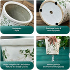 Ceramic Planter with Drainage Hole, Plastic Tray & Mesh, 6.7 Inch - Image 5
