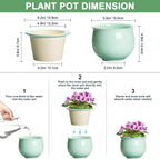6 Inch African Violet Pots, Ceramic Self Watering Planter - Image 2