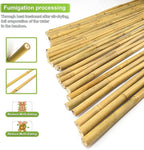 10pcs 1" D Thicker Heavy Duty Bamboo Stakes, 8FT Plant Stakes, Natural Garden - Image 3