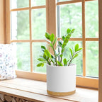 8 Inch Cylinder Flower Pots for Indoor Outdoor Plants, Medium Deep Plant Pots - Image 4