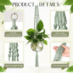 6 Pcs Plastic Plant Propagation - Image 4