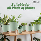 Indoor Self Watering Planters - Image 7