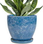 Ceramic Pots for Plants by EPFamily