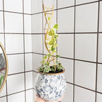 Indoor Plant Trellis for Potted Plants - Image 7