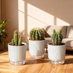 3 Pack Self Watering Pots Set, 4 Inch Self Watering Pots - Image 7