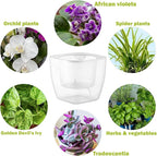12-Pack Clear Self Watering Planters - Image 2