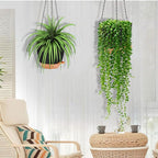 GARDIFE Hanging planters for Indoor Plants, 8 inch Hanging Planter, Self - Image 4