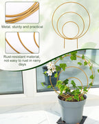 Unique Round Hoya Trellis, Garden Trellis Plant Support - Image 4