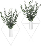 Jexine 4 Pcs Hanging Planters by Jexine