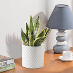 Docrin Ceramic Planters Indoor, 8 Inch Plant Pot - Image 9