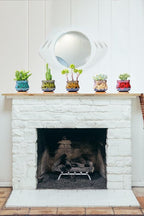 Cute Ceramic Succulent Garden Pots, Planter - Image 4