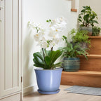 Ceramic Plant Pots - Image 6