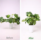 Monstera Plant Stem Support - Image 3