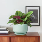 G EPGardening Ceramic Plant Pots - Image 2