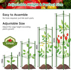 Riare 6 Pack 4 FT Tomato Cages for Garden- 48inches Heavy Duty Garden Stakes - Image 2
