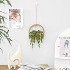 Floweroyal 2pcs Artificial Succulents Hanging Plants 12.2'' Fake String of - Image 8