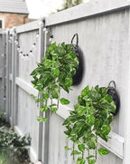 Hollyone Artificial Pothos Hanging Plants 25" Fake Ivy Vine Faux Ivy Pothos - Image 4