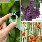 Plant Support Clips, Plastic Trellis Clips, Grape Vine Tomato Vine Vegetables - Image 3