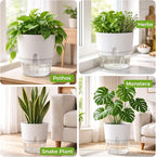 Planterhoma 5 Pack Self Watering Pots - Image 9