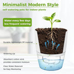 Planterhoma 8 Pack Self Watering Pots - Image 5