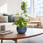 6 Inch Plant Pot - Image 6