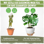 Self-Watering Pots for Indoor Plants 4 Pack, 6/8/10/12 Inch Outdoor Planters - Image 6