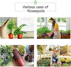 JERIA 200-Pack 4 Inch Plastic Nursery Pots Come - Image 7