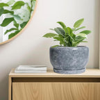 SQOWL Ceramic Pot for Plants - Image 7