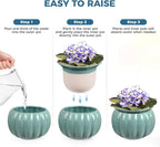 BUYMAX African Violet Pots, 6 inch Pumpkin-Style Ceramic Easy Self Watering - Image 4