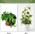 Small Trellis for Potted Plants, 14 Inch Indoor Trellis for Climbing Plants - Image 7