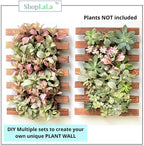 ShopLaLa Wall Planters - Image 6