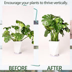 5PCS Monstera Plant Support Stem 9 x 7.6 in- Durable Stabilizer Set - Image 3