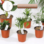 300 Pack 4 Inch Plastic Nursery Pots - Image 4