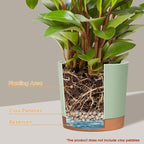 kubvici Plant Pots for Indoor Plants, 2 Pack 10 Inch Plant Pot Plastic Flower - Image 2