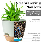 Self Watering Plant Pot with Drainage Hole, Plant Pots Outdoor Flower Pots - Image 3