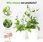 3 Pack U-Shaped Colorful Acrylic Plant Trellis - Image 3
