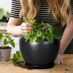Ceramic Planter Pot - Image 4