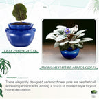 4 Sets African Violet Pots 4 Inch Self Watering Pot - Image 3