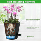 Orchid Pots with Holes, 6 Inch Self Watering Orchid Pot 2 Pack Plastic Plant - Image 3
