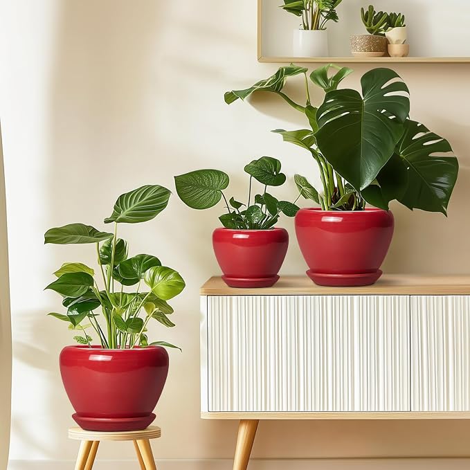 6 Inch Plant Pot - Image 8
