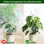 5 Pack Stackable Monstera Plant Support Stakes - Image 5