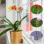 6PCS Single Stem Plant Support Stakes, 16 Inch Monstera Plant Support - Image 5