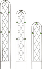 Arcadia Garden Products TR01 4' x 10" Arched Garden Trellis - Image 3
