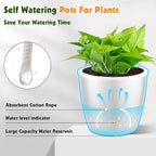 Self Watering Pots for Indoor Plants, Small African Violet Pots - Image 4