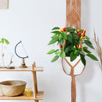 Hoteam 12 Pcs Macrame Plant Hangers Macrame Hanging Planters - Image 6